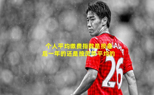 个人平均缴费指数是按最后一年的还是按历年平均的