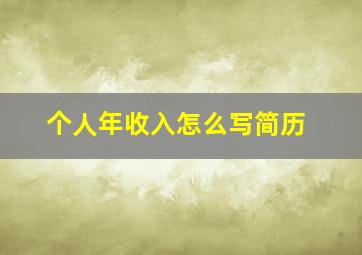 个人年收入怎么写简历