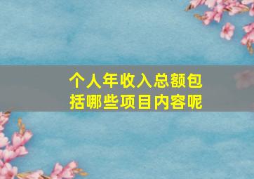 个人年收入总额包括哪些项目内容呢