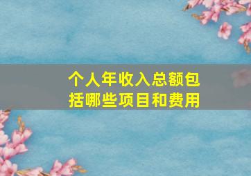 个人年收入总额包括哪些项目和费用