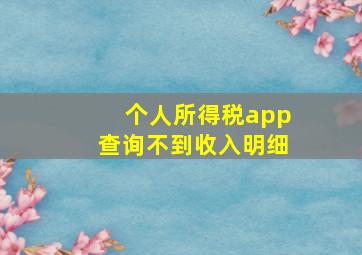 个人所得税app查询不到收入明细