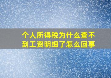 个人所得税为什么查不到工资明细了怎么回事