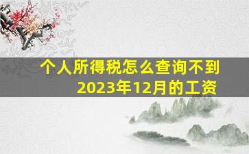 个人所得税怎么查询不到2023年12月的工资