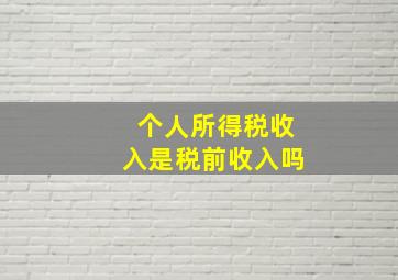 个人所得税收入是税前收入吗