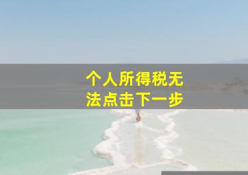 个人所得税无法点击下一步