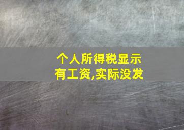 个人所得税显示有工资,实际没发