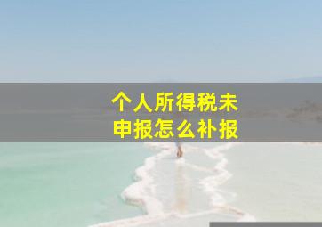 个人所得税未申报怎么补报