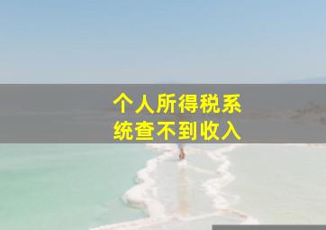 个人所得税系统查不到收入