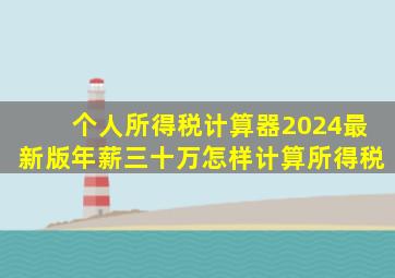 个人所得税计算器2024最新版年薪三十万怎样计算所得税