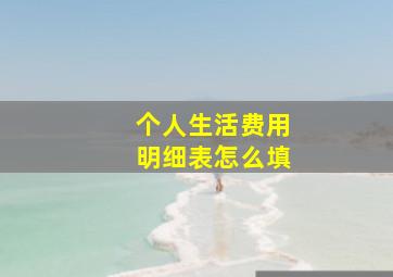 个人生活费用明细表怎么填