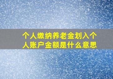 个人缴纳养老金划入个人账户金额是什么意思