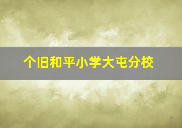 个旧和平小学大屯分校