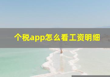 个税app怎么看工资明细