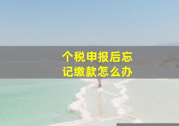 个税申报后忘记缴款怎么办