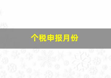 个税申报月份