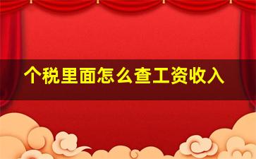 个税里面怎么查工资收入