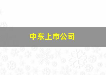 中东上市公司