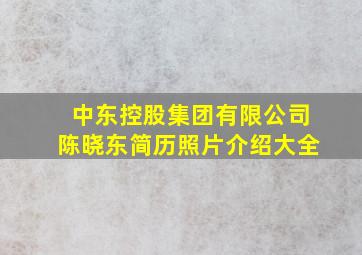 中东控股集团有限公司陈晓东简历照片介绍大全