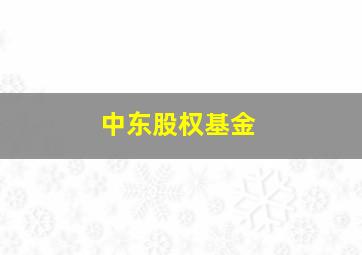 中东股权基金