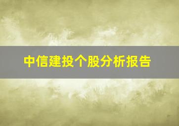 中信建投个股分析报告