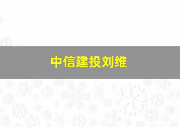 中信建投刘维