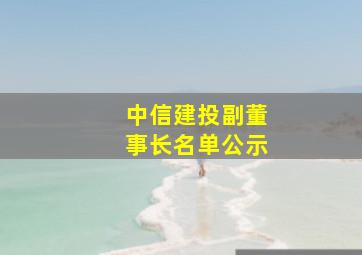 中信建投副董事长名单公示