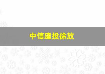 中信建投徐放