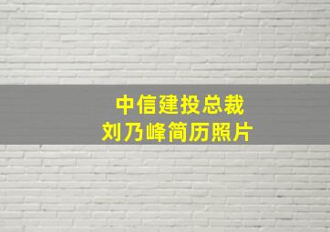 中信建投总裁刘乃峰简历照片