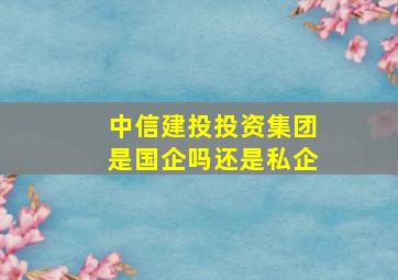 中信建投投资集团是国企吗还是私企