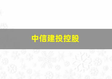 中信建投控股