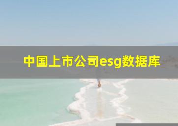 中国上市公司esg数据库