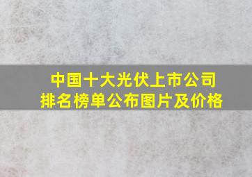 中国十大光伏上市公司排名榜单公布图片及价格