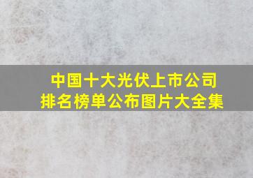 中国十大光伏上市公司排名榜单公布图片大全集