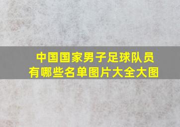 中国国家男子足球队员有哪些名单图片大全大图