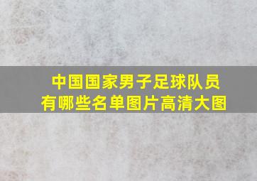 中国国家男子足球队员有哪些名单图片高清大图