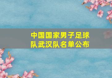 中国国家男子足球队武汉队名单公布