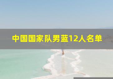 中国国家队男蓝12人名单