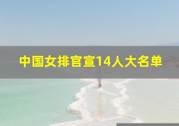 中国女排官宣14人大名单