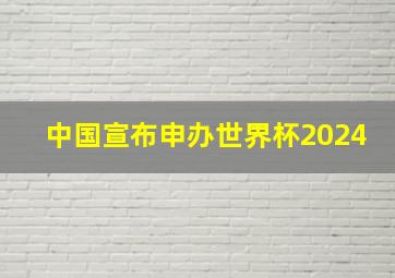 中国宣布申办世界杯2024