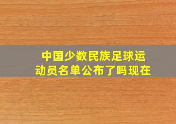 中国少数民族足球运动员名单公布了吗现在