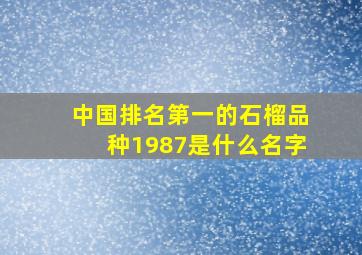 中国排名第一的石榴品种1987是什么名字