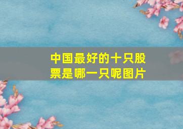 中国最好的十只股票是哪一只呢图片