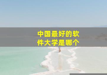 中国最好的软件大学是哪个