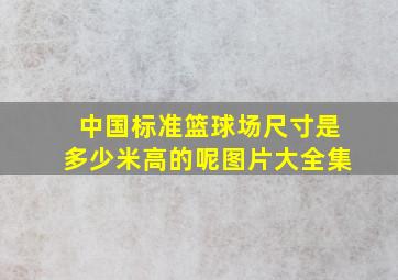 中国标准篮球场尺寸是多少米高的呢图片大全集