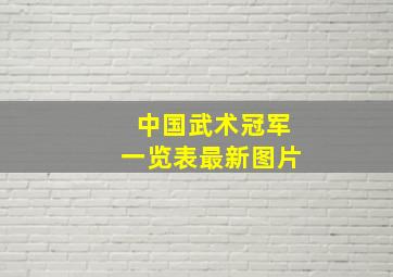 中国武术冠军一览表最新图片