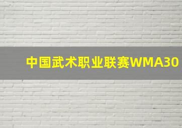 中国武术职业联赛WMA30