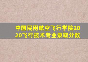 中国民用航空飞行学院2020飞行技术专业录取分数