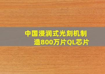 中国浸润式光刻机制造800万片QL芯片