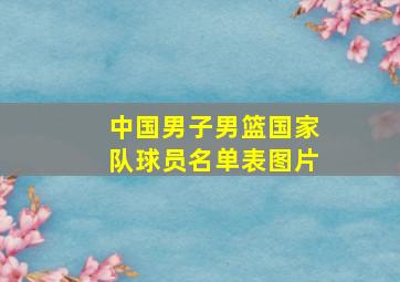 中国男子男篮国家队球员名单表图片