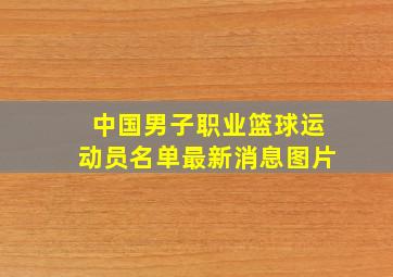 中国男子职业篮球运动员名单最新消息图片